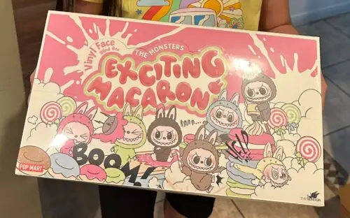 POPMART THE MONSTERS  Exciting Macaron LABUBU Vinyl Face Blind Box photo review