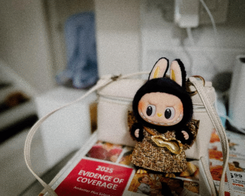 POPMART  LABUBU PRONOUNCE  WINGS OF FORTUNE Vinyl Plush Hanging Card photo review