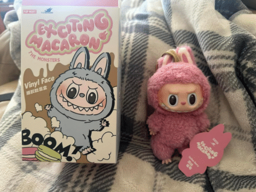POPMART THE MONSTERS  Exciting Macaron LABUBU Vinyl Face Blind Box photo review