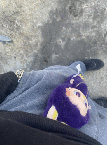 POPMART  LABUBU PRONOUNCE  WINGS OF FORTUNE Vinyl Plush Hanging Card photo review