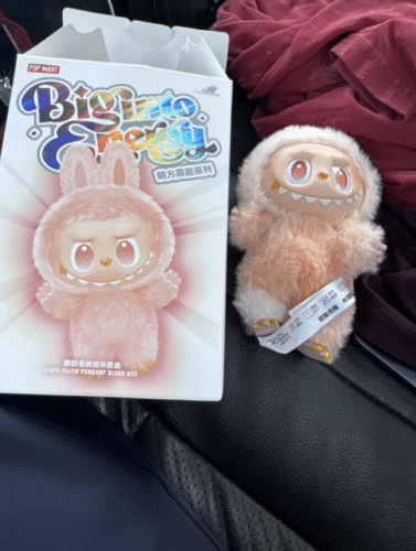 POPMART  THE MONSTERS LABUBU Big into Energy Series-Vinyl Plush Pendant Blind Box photo review