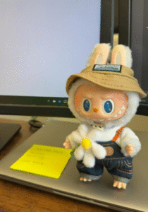 POPMART Labubu THE MONSTERS FALL IN WILD SERIES-Vinyl Plush Doll Pendant photo review