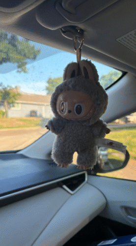 POPMART THE MONSTERS  Exciting Macaron LABUBU Vinyl Face Blind Box photo review