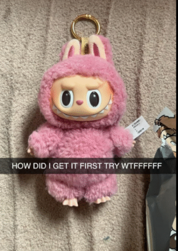 POPMART THE MONSTERS  Exciting Macaron LABUBU Vinyl Face Blind Box photo review