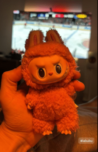 POPMART THE MONSTERS  Exciting Macaron LABUBU Vinyl Face Blind Box photo review