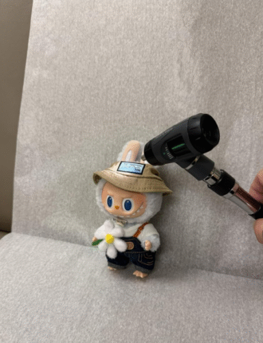 POPMART Labubu THE MONSTERS FALL IN WILD SERIES-Vinyl Plush Doll Pendant photo review