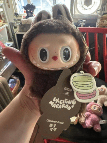 POPMART THE MONSTERS  Exciting Macaron LABUBU Vinyl Face Blind Box photo review