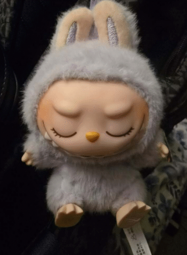 POPMART THE MONSTERS  Exciting Macaron LABUBU Vinyl Face Blind Box photo review