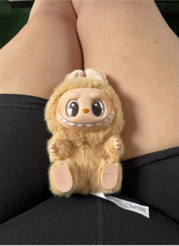 POPMART THE MONSTERS  Exciting Macaron LABUBU Vinyl Face Blind Box photo review