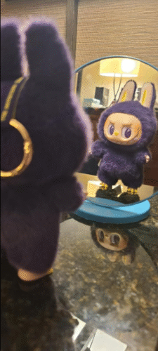 POPMART  LABUBU PRONOUNCE  WINGS OF FORTUNE Vinyl Plush Hanging Card photo review