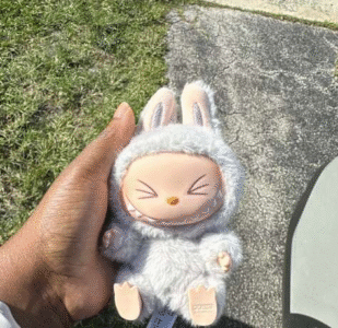 POPMART THE MONSTERS LABUBU Have a Seat Vinyl Plush Blind Box photo review