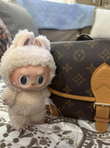 POPMART THE MONSTERS  Exciting Macaron LABUBU Vinyl Face Blind Box photo review