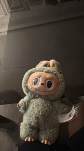 POPMART THE MONSTERS  Exciting Macaron LABUBU Vinyl Face Blind Box photo review