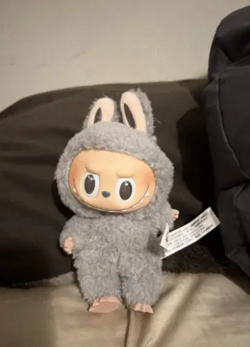 POPMART THE MONSTERS  Exciting Macaron LABUBU Vinyl Face Blind Box photo review