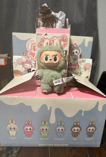 POPMART THE MONSTERS  Exciting Macaron LABUBU & Big into Energy&Have a Seat Vinyl Plush Blind Box photo review