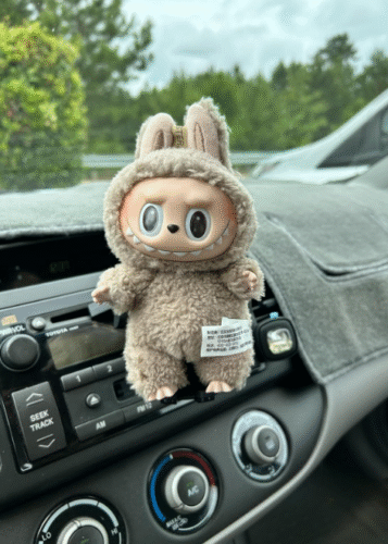 POPMART THE MONSTERS  Exciting Macaron LABUBU & Big into Energy&Have a Seat Vinyl Plush Blind Box photo review